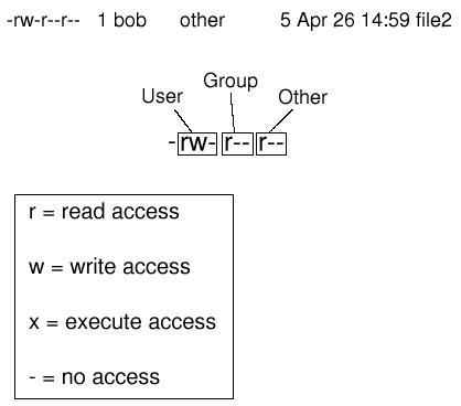 File access.jpg